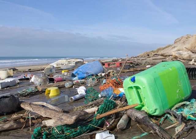 14805672 - beach pollution on atlantic coast