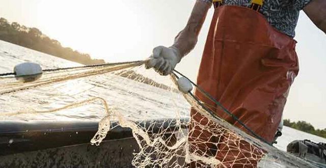 Fishermans web
