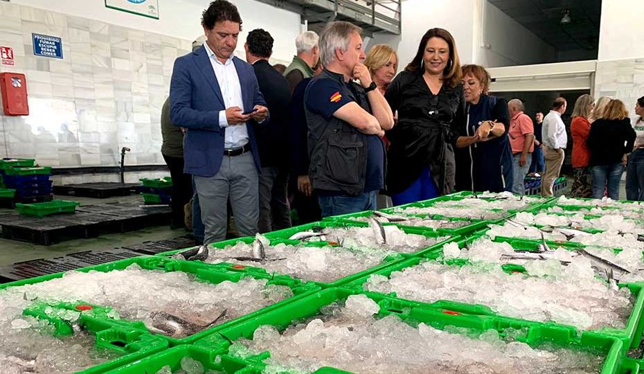 1652705851601lonjabarbateEst