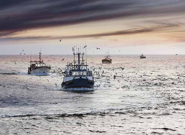 Homecoming: Tired fishermans ships approaching after a hard day, Le Guilvinec,Brittany, France