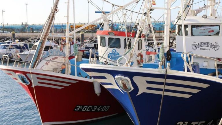 1bae5ba7-ce01-408b-becb-351e0edc8d1b_16-9-discover-aspect-ratio_default_0-768x432-1