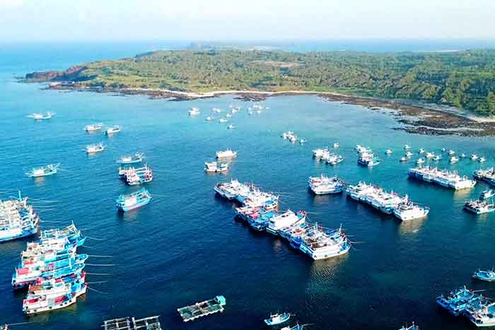 Fish farm in coastal waters. Rectangular cages