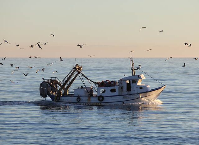 Fishing boat returning to home harbor