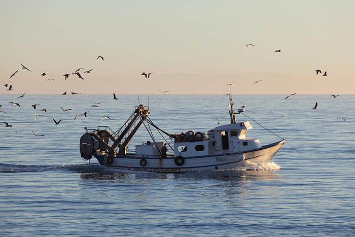 Fishing boat returning to home harbor