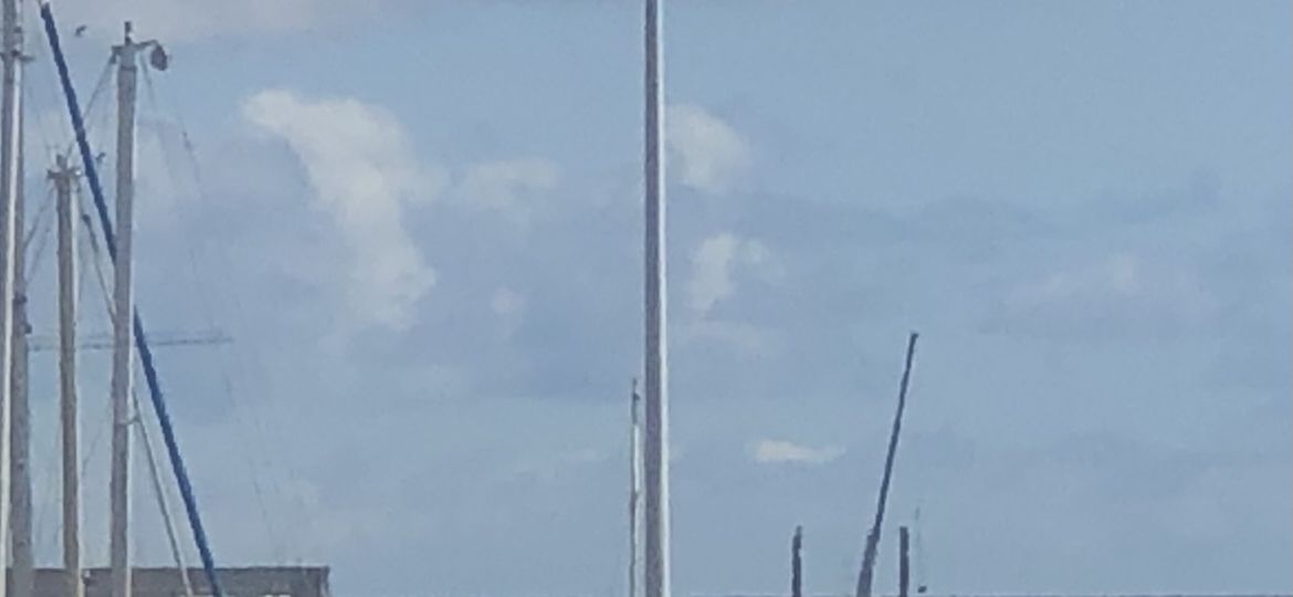 26-1-scaled