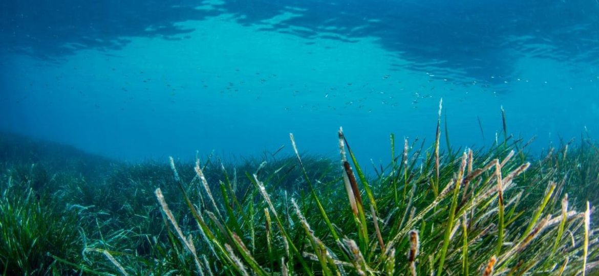 32046996-211a-4ff7-a2f3-147b062bb742_16-9-discover-aspect-ratio_default_0