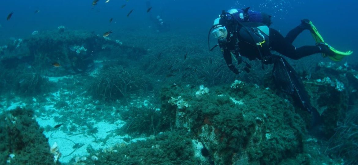 El IEO lanza un programa de seguimiento del estado de conservación de las praderas marinas de la Comunitat Valenciana