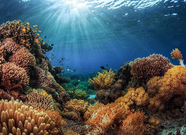 Indonesia