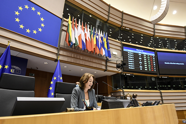 EP-104870C_plenary_2