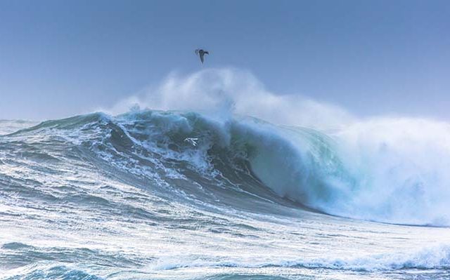 Big Wave