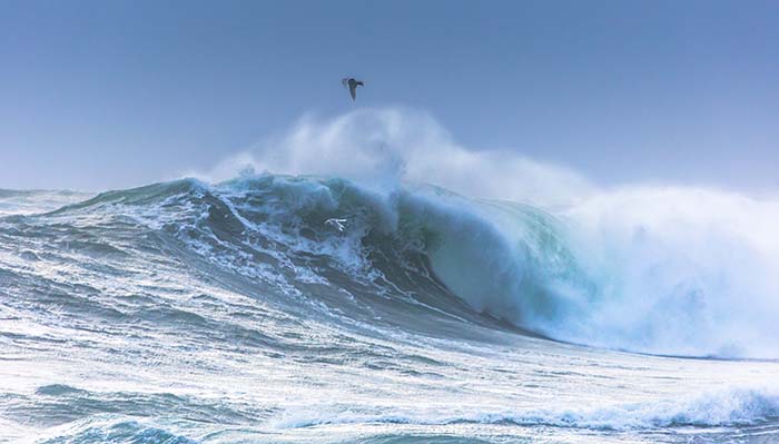 Big Wave