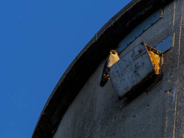 7-6