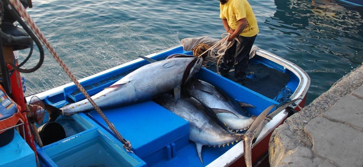 990589b9-7ebf-40a9-a35d-94e6f927946b_16-9-discover-aspect-ratio_default_1068158