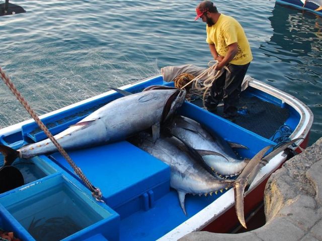 990589b9-7ebf-40a9-a35d-94e6f927946b_16-9-discover-aspect-ratio_default_1068158