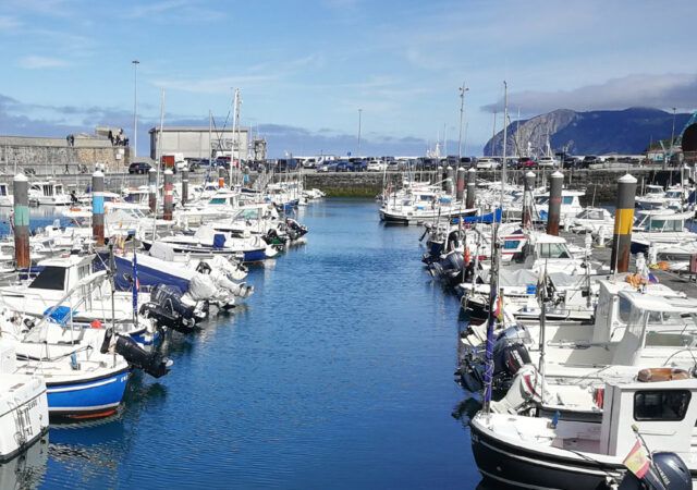 Barcos-ANEN_15-800x450-1