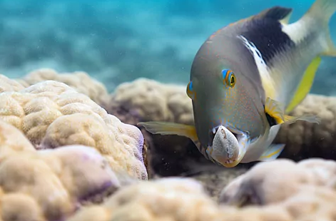 Captura-de-pantalla-2023-03-06-171913