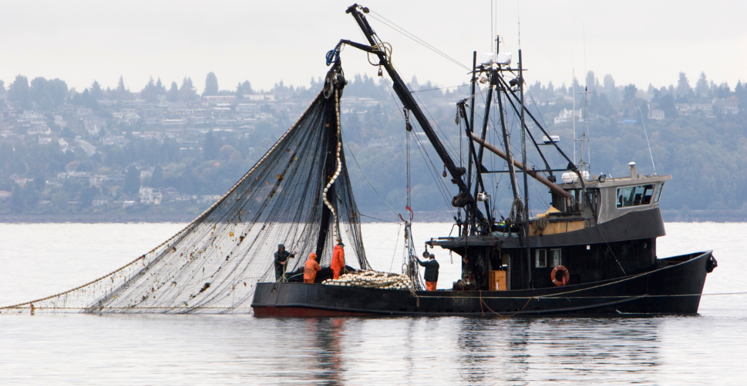 Captura-de-pantalla-2023-03-08-160808