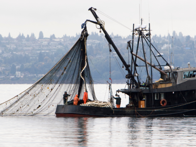 Captura-de-pantalla-2023-03-08-160808