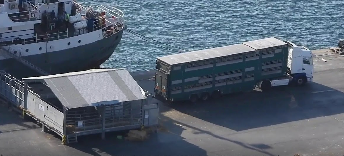 Captura-de-pantalla-2023-04-21-163552