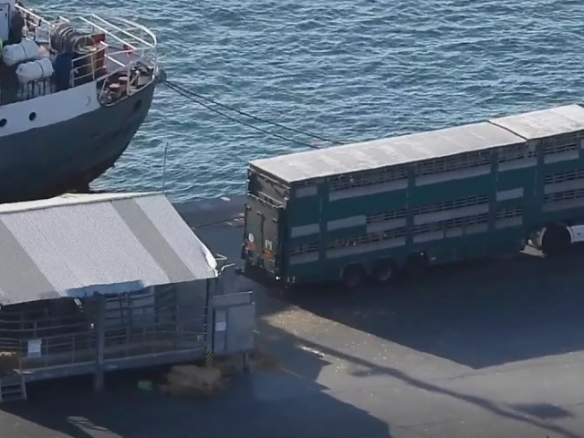 Captura-de-pantalla-2023-04-21-163552