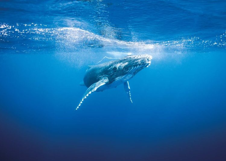 Captura-de-pantalla-2023-05-18-180632