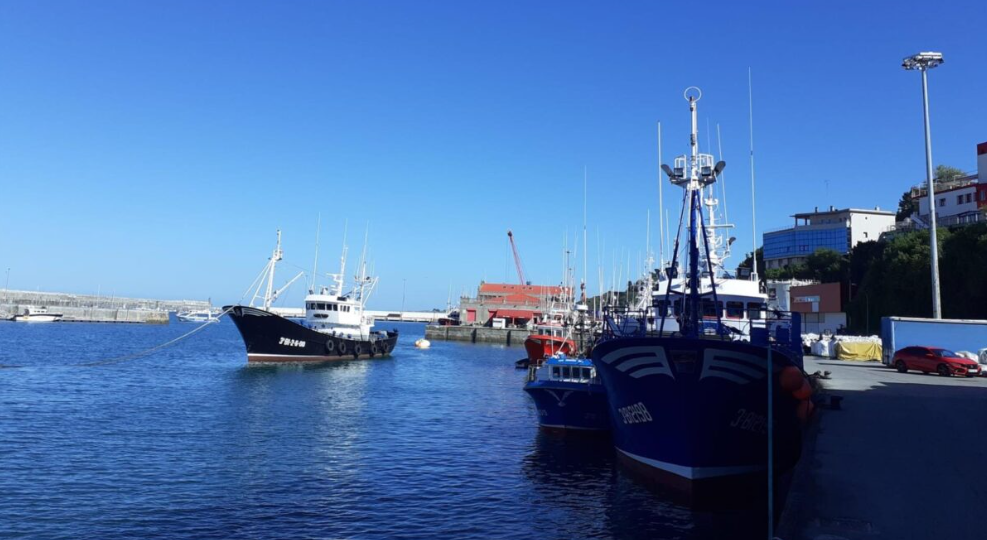 Captura-de-pantalla-2023-07-17-154043