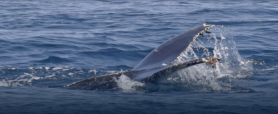 Captura-de-pantalla-2023-07-24-105902