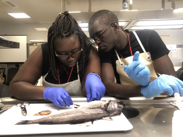 NP_100323_talleresFAO