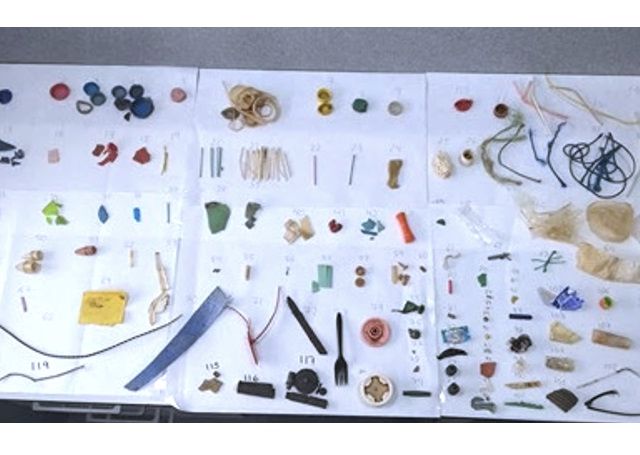 NP_26072023_Metales-microplasticos