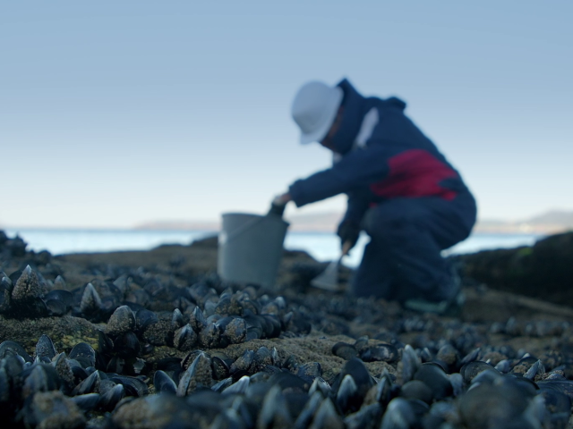 NP_270323_contaminantesemergentes-1