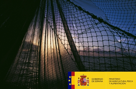 PORTADA_DET_atardecer_y_redes_tcm30-512243