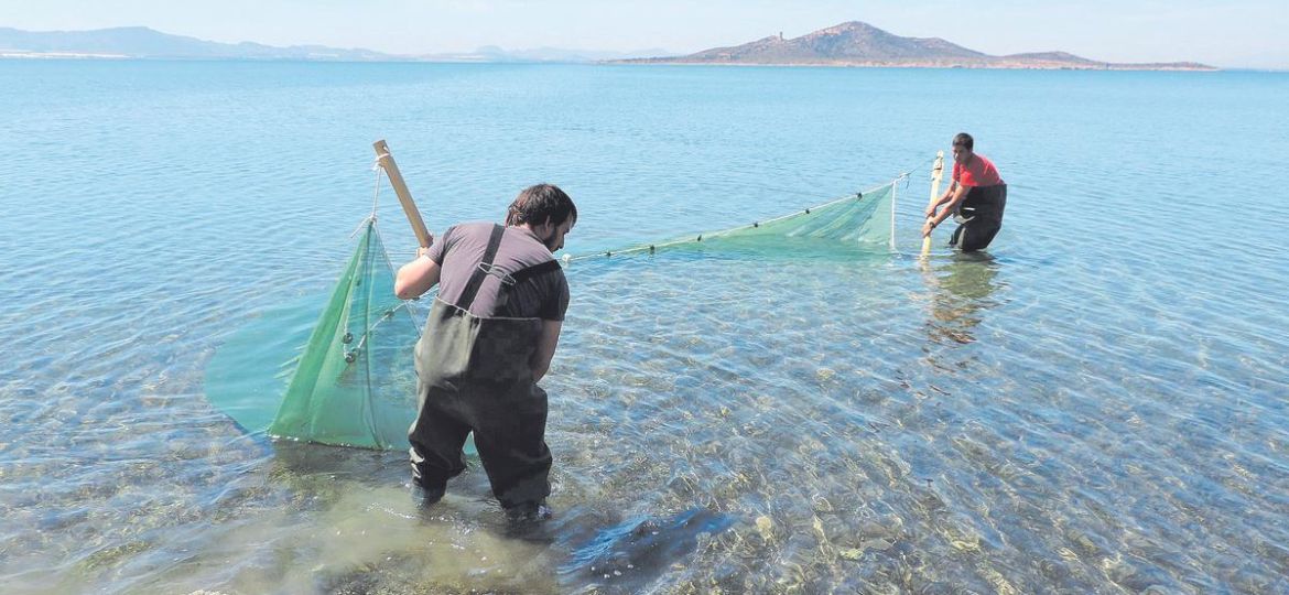 be155e8d-2e4a-44b2-b3f1-174915bface2_16-9-discover-aspect-ratio_default_0