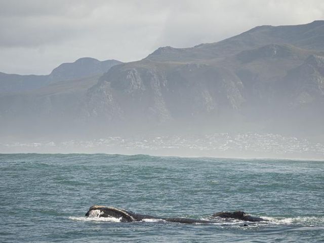 d45a84ab-a763-4117-b737-2fcbb5ea8bb3_16-9-aspect-ratio_default_0