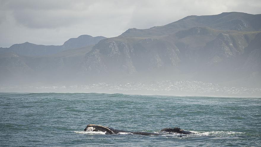 d45a84ab-a763-4117-b737-2fcbb5ea8bb3_16-9-aspect-ratio_default_0