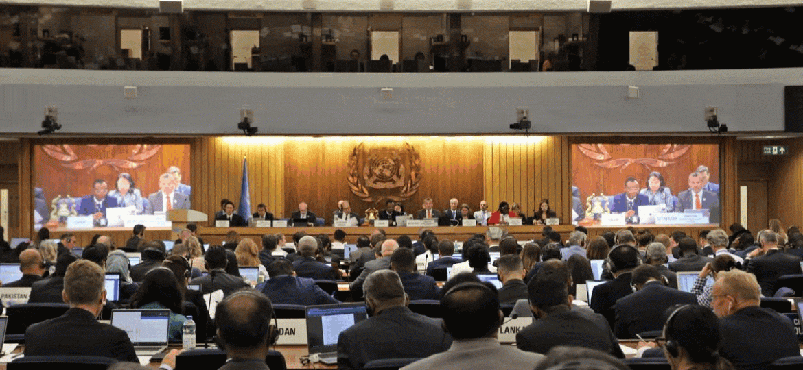 ezgif.com-optimize-8