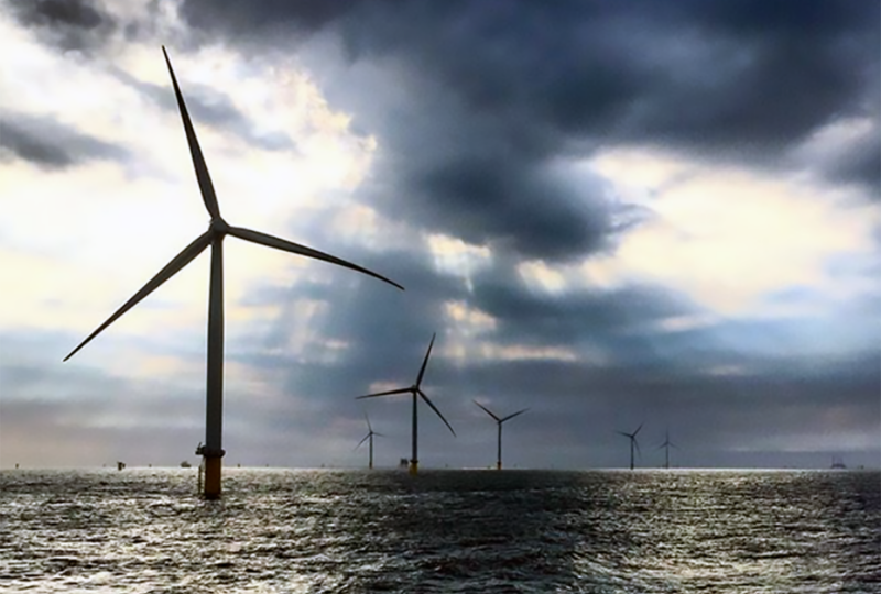 Captura-de-pantalla-2023-11-13-a-las-12.40.16-800x600-1