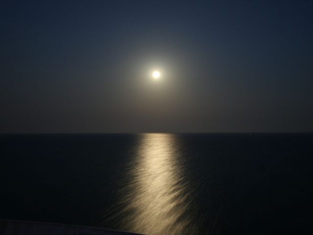 NP_110124_tuna-y-luna-llena-scaled
