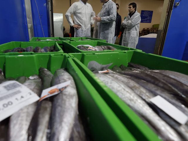 visita de alfonso villares a la venta de merluza en la lonja de celeiro