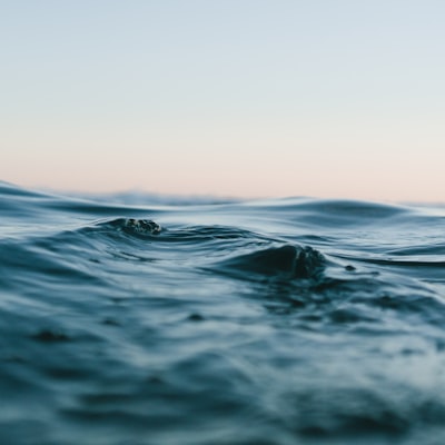 photo-1518837695005-2083093ee35b