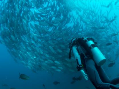 Newsletter RLNE diciembre 2025 7 Captura de pantalla 2025 12 01 182141