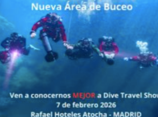 Captura de pantalla 2026 02 03 175149