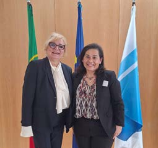 Captura de pantalla 2026-03-05 204350