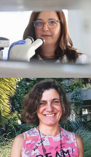 Captura de pantalla 2026 04 23 135215