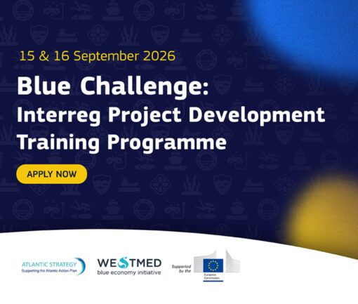 BlueChallenge2026_banner1500x630-1030x433